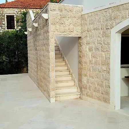 Anzulovic 젤사